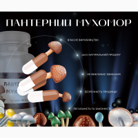 Пантерний Мухомор у капсулах 0.3г/60шт