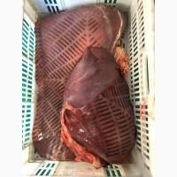 Субпродукты говяжьи и конские