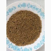 Продам бджолиний пилок із власної пасіки