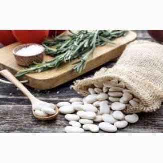 Купуємо квасолю білих сортів Докучаєвська, Неві Бінс, Мавка, Монро та ін