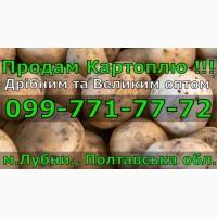 Продам Картоплю, дрібним та великим оптом! В наявності понад 100т