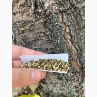 Високоякісна самосадна махорка