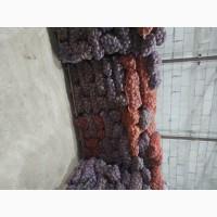 Продам картоплю товарну