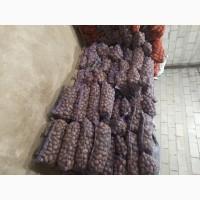 Продам картоплю товарну