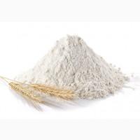 Купую борошно в/г, 1/г на експорт