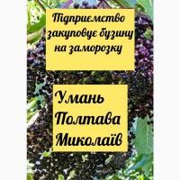 Закуповуємо БУЗИНУ