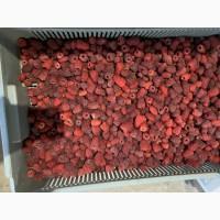 Продам заморожену : Малину (90/10, 80/20)(грис в мішку ) Ожину, шипшину, порічку