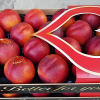 Продаем нектарины