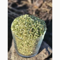 Самосад, махорка, тютюн, зелений, гарної якості, сухий