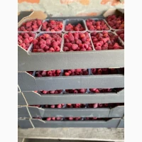 Продам 8 га земли біля Дніпра