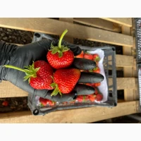 Продам 8 га земли біля Дніпра