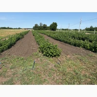 Продам 8 га земли біля Дніпра
