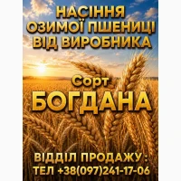 Богдана. Насіння. Озима пшениця. 2026