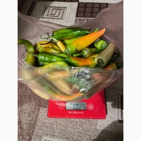 Перець Чилі
