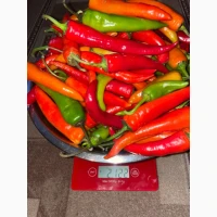 Перець Чилі
