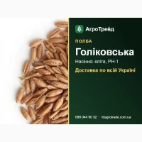 Купити насіння полби Голіковська - еліта, РН-1