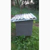Продам вулики з бджолами