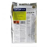 Captan 80 WG (Каптан) 2кг - контактный фунгицид широкого спектра (Польша)