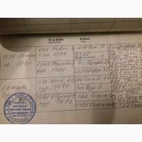 Продажа турнирного мерина