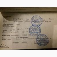 Продажа турнирного мерина
