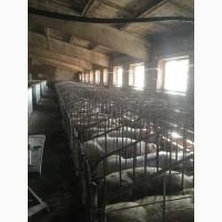 Продам розкручений, стабільно прибутковий діючий бізнес