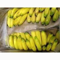 Продам бананы свежие Эквадор