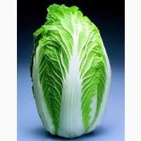 Маю покупців пекінской капусти за кордон та на ринки