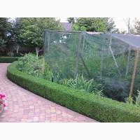 Формирую (обрезка) плодовых и декорактивных деревьев, кусарников, топиар