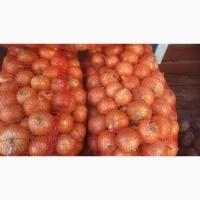 Продам товарный, средний, чистый, перебранный лук. Сорт МЕДУЗА