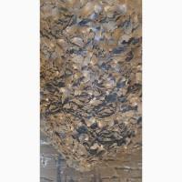 Продам макуху подсолнечника от 2500 грн за 1т машинными нормами