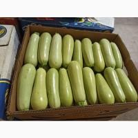 Продам Кабачок