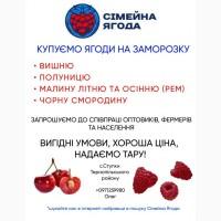 Купуємо смородину чорну