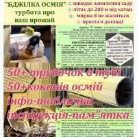 Осмії. Стартовий набір Бджілка Осмія. Запилювачі саду, осмии + інструкція по догляду