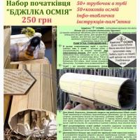 Осмії. Стартовий набір Бджілка Осмія. Запилювачі саду, осмии + інструкція по догляду