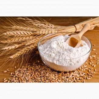 Wheat flour of the highest grade