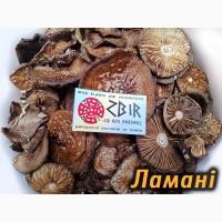 Мухомор ПАНТЕРНИЙ (Amanita Pantherina), сушені КАПЕЛЮШКИ, сезон 2026