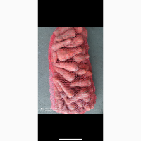 Продам моркву, сорт Абако