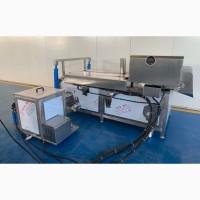 Фритюрниця промислова електрична з підйомником STvega DP H1700