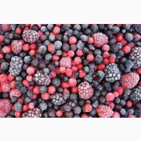 Закупівля заморожених ягід оптом від 10 тонн. Смородина. Чорниця. Малина