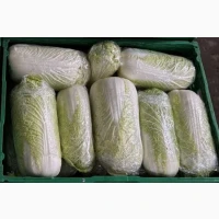 Пекінська капуста, куплю