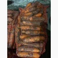 Продам морковь