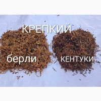 Тютюн Опт/Розница Лапша Пахуч. Чистый Сухой Вирджиния Кентуки Голд Берли. Табак Гильзы