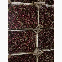 Продам черешню сладкую