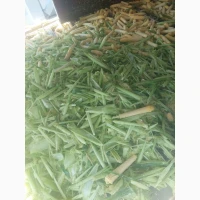 Продам відходи солодкої кукурузи (силос)