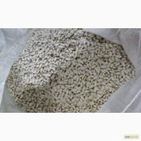 Продам фасоль белую сорт Кидни