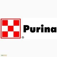 Премикс для свиней Purina