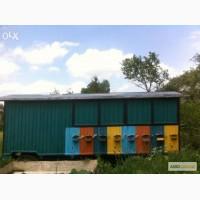 Продам пасіку-павільйон