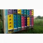 Продам Бджолопавільйон типу Берендєй