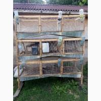 Продам клітки для кроликів