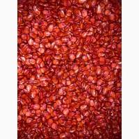 Насіннєвий матеріал кукурудзи ДН ХОРТИЦЯ (ФАО 240)